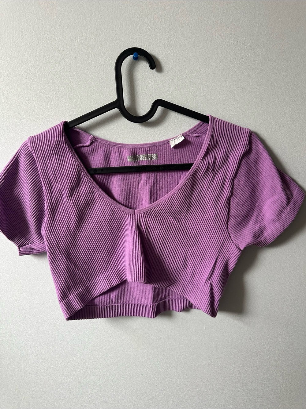 Forever 21 Ribbed Striped Crop Top in Purple